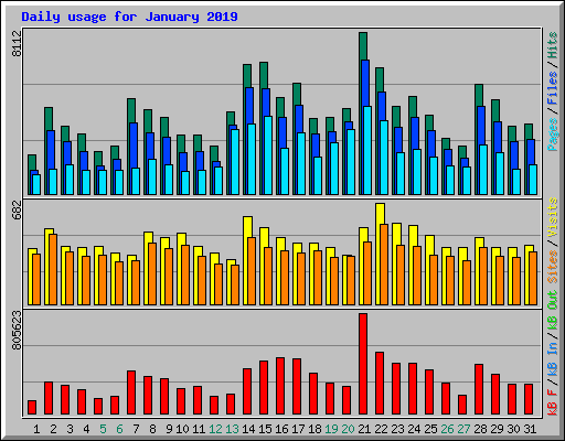 Daily usage for January 2019