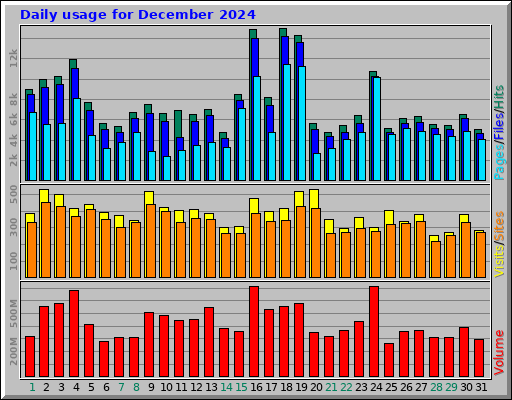 Daily usage for December 2024