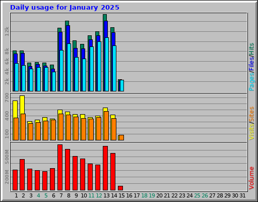 Daily usage for January 2025