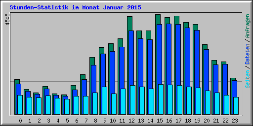 Stunden-Statistik im Monat Januar 2015