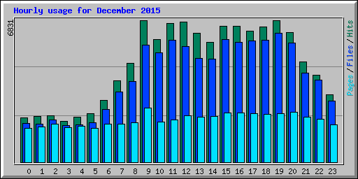 Hourly usage for December 2015