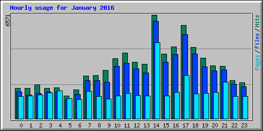 Hourly usage for January 2016