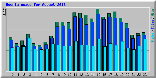 Hourly usage for August 2016