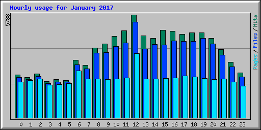 Hourly usage for January 2017