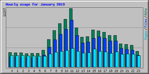 Hourly usage for January 2019