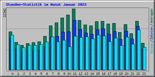 Stunden-Statistik im Monat Januar 2023