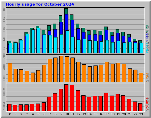 Hourly usage for October 2024