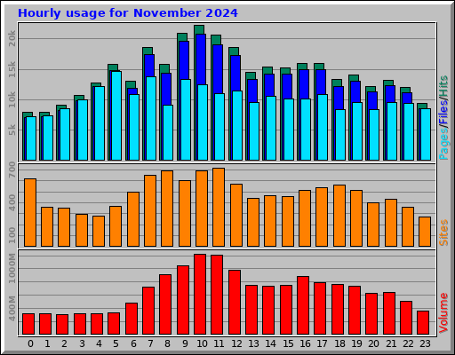 Hourly usage for November 2024