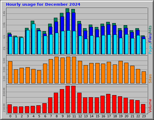 Hourly usage for December 2024