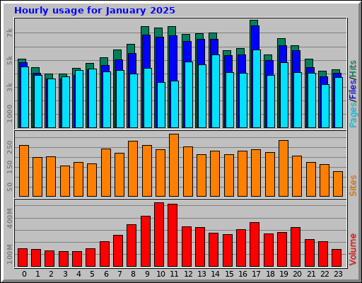 Hourly usage for January 2025