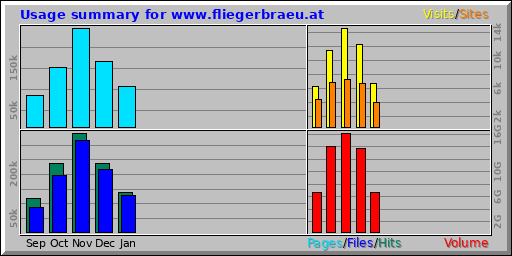 Usage summary for www.fliegerbraeu.at